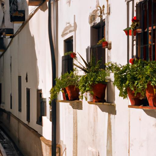 Las mejores opciones para comprar baterías de vehículos en Santo Domingo – República Dominicana