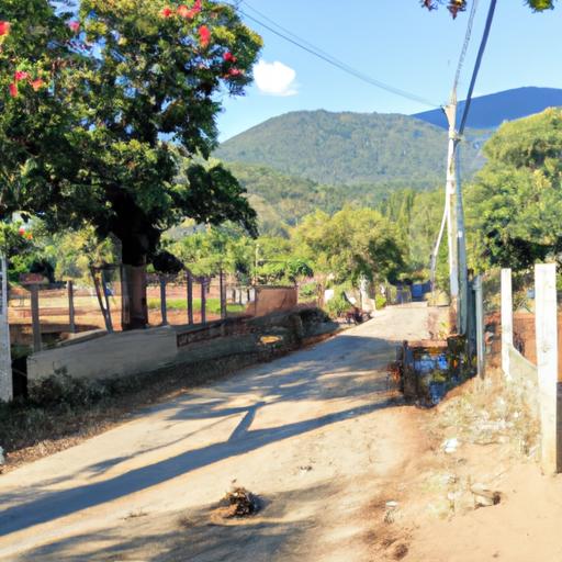 Las mejores opciones de bicicletas para niños en Santo Domingo