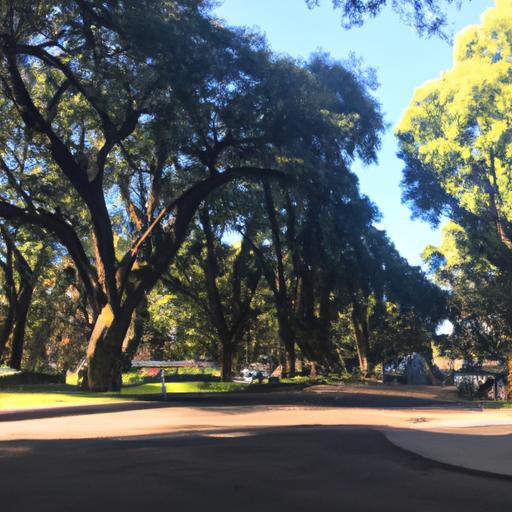 Lugares en Santo Domingo para radiografías panorámicas dentales